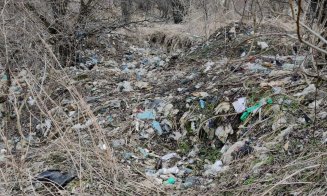 ”Dezastru ecologic în zona verde din cartierul Europa”