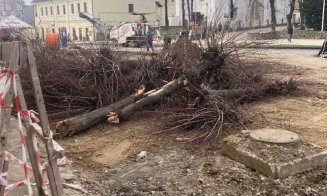 Pe modelul Clujului, și la Turda sunt "evacuaţi" copacii din centru pentru a face loc betoanelor
