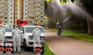 Acțiuni de deratizare și tratamente fitosanitare în Cluj-Napoca. Între ce ore se desfășoară și cât durează