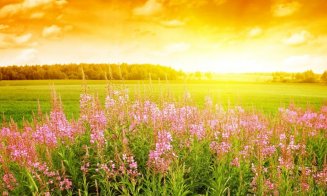 Cum va fi vremea în prima lună de vară. Meteorologii au actualizat prognoza