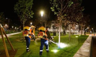 La Cluj, continuă campaniile de dezinsecție. Viceprimarul Dan Tarcea: „Soluția folosită nu este dăunătoare pentru animalele de companie și păsări”